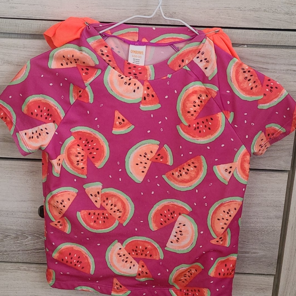 Gymboree 2 Piece Watermelon Bathing Suit